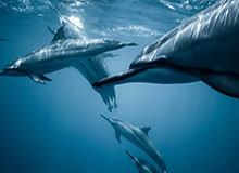 终于进了！U22国足1-0领先